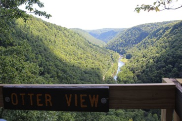 The Pine Creek Gorge, seen from the Otter View platform on the Overlook Trail.